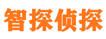 安平外遇出轨调查取证